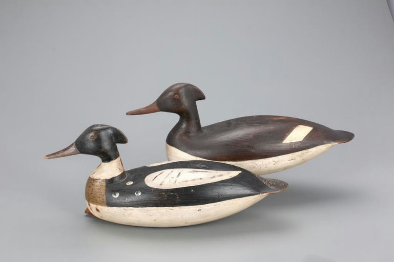 Levi Rhodes Truex – Mackey-truex Merganser Pair – 2021