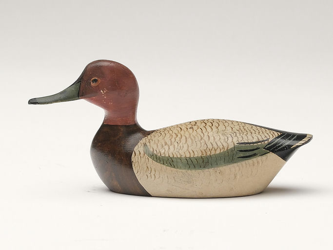 George Boyd – Canvasback – 2023
