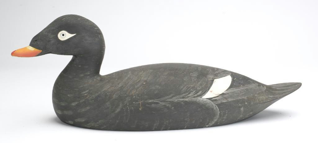 Marty Collins – Scoter – 2023