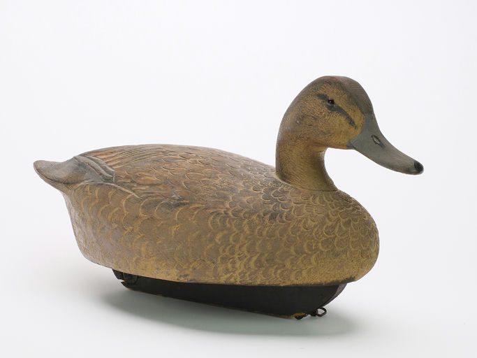 Ben Schmidt – Pintail Hen – 2024
