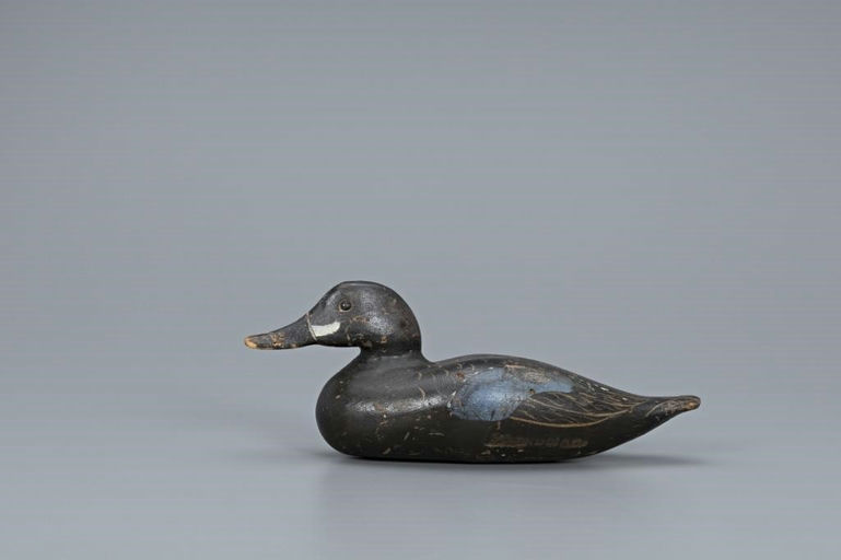 Dodge Factory – Blue-Winged Teal – 2019