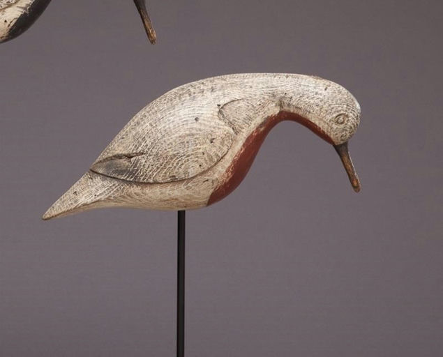 Nathaniel Kirby – Feeding Red Knot – 2013