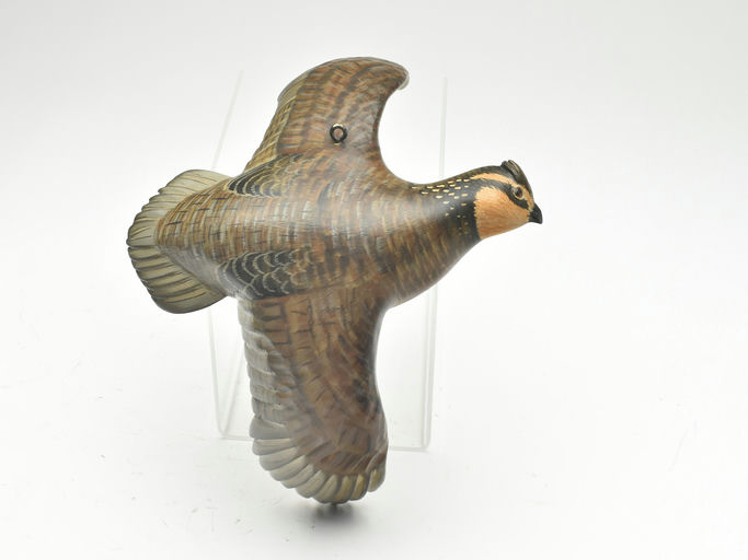Mike Borrett – Quail – 2023