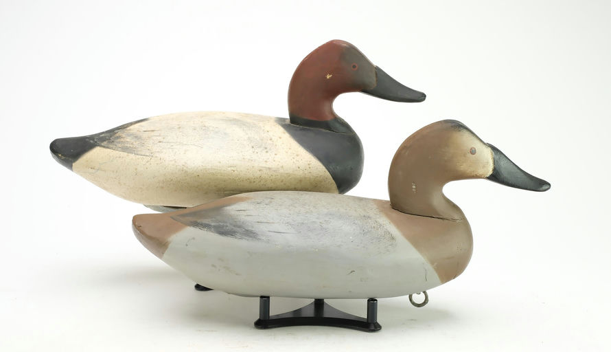 James Currier – Canvasback – 2025