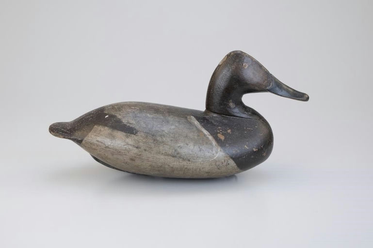 William Heverin – Pennock Rig Canvasback Hen – 2026