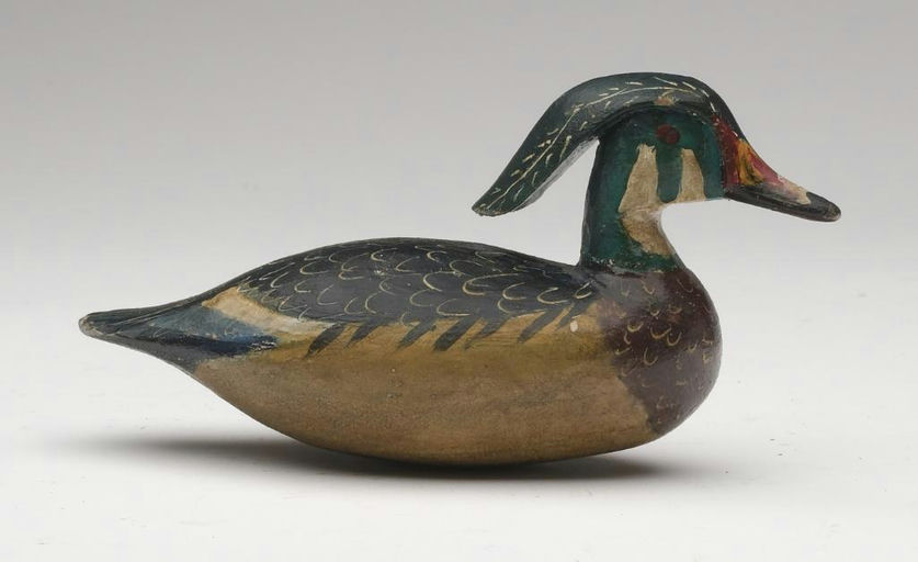 Reggie Birch – Wood duck – 2023