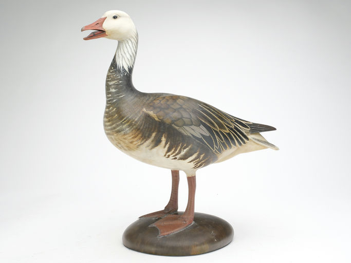 Bill Gibian – Blue Goose – 2023