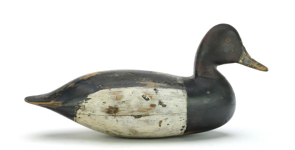 Harry V. Shourds – Scaup – 2025
