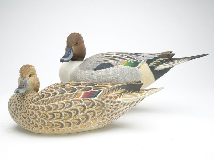 Ben A. Heinemann – Pintail – 2023