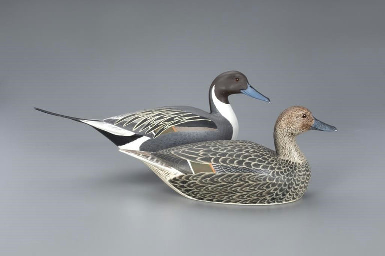 Heck Whittington – Pintail Pair – 2020