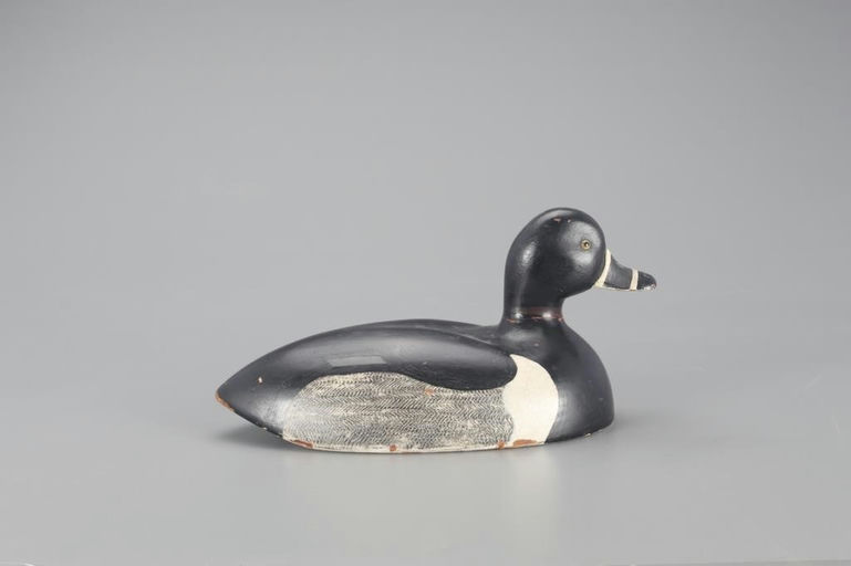 Joel Barber – Ringnecked Duck – 2021