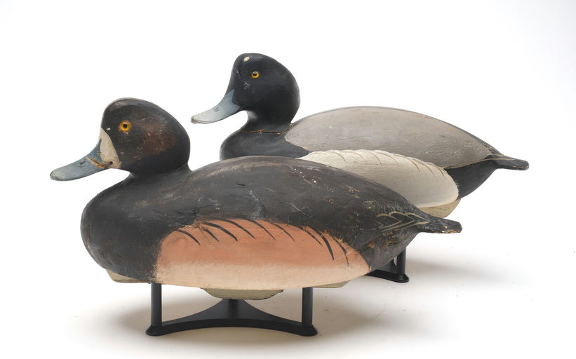 Ward Brothers – Pair of Bluebill – 2026