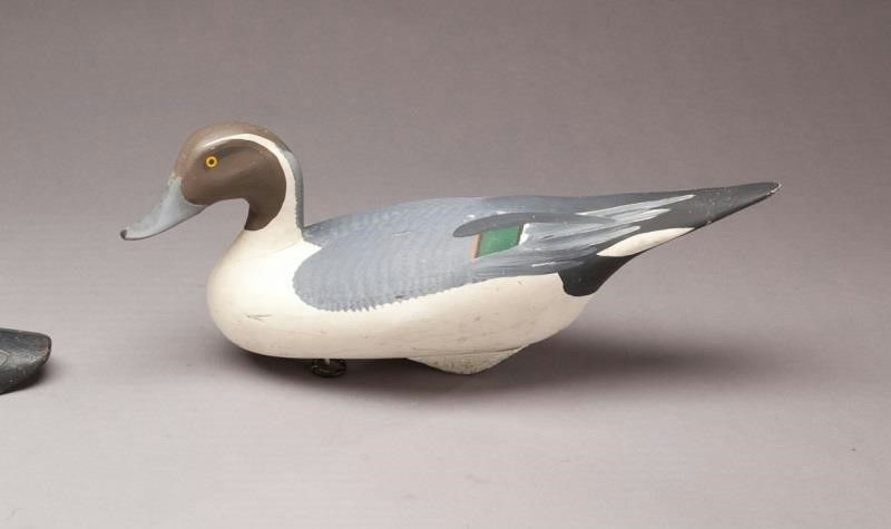 R. Madison Mitchell – Pintail Drake – 2011