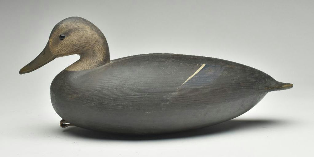 Reggie Birch – Black duck – 2023
