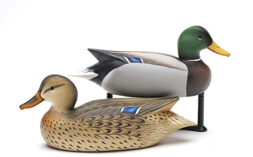 Charlie Joiner – Pair of Mallard – 2026
