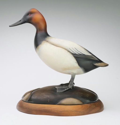Sean Sutton – Standing Canvasback – 2024