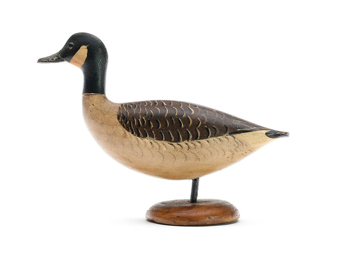 George Boyd – Canada Goose – 2025
