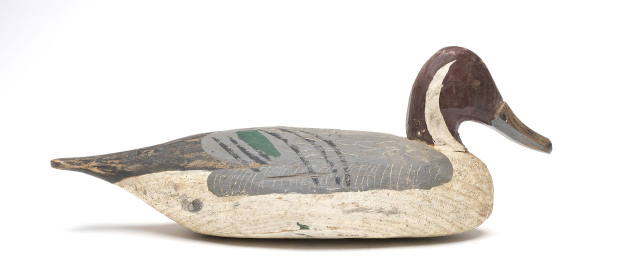 Miles Hancock – Pintail – 2026