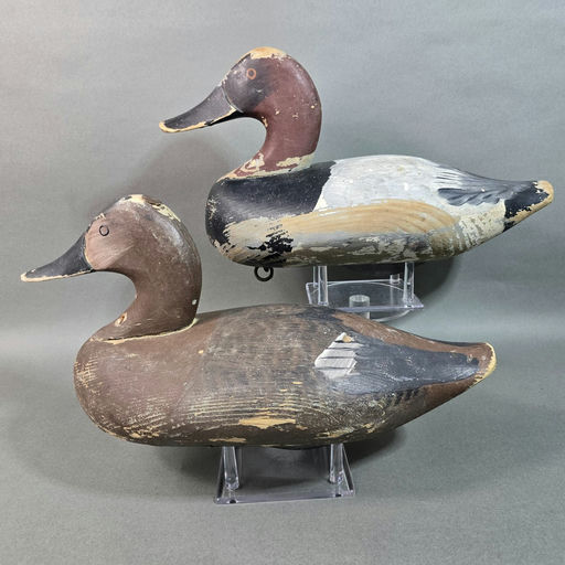 Jess Urie – Canvasback – 2026