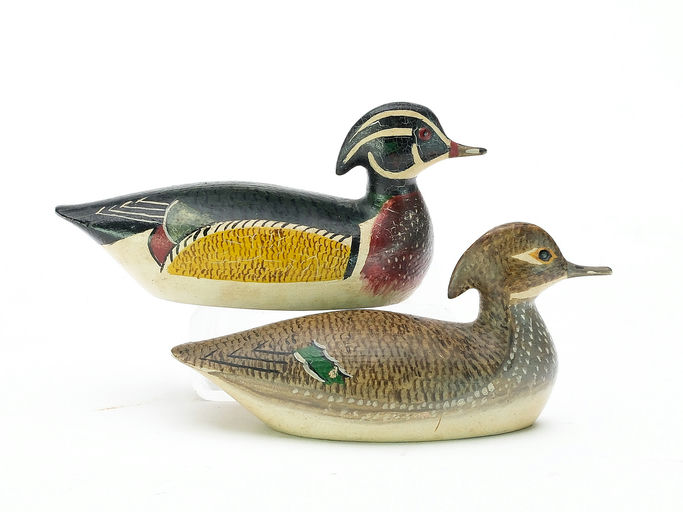 George Boyd – Wood Duck – 2025