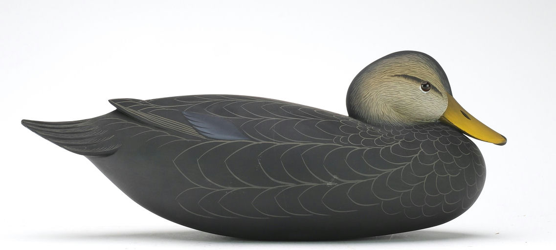 George Strunk – Black Duck – 2024