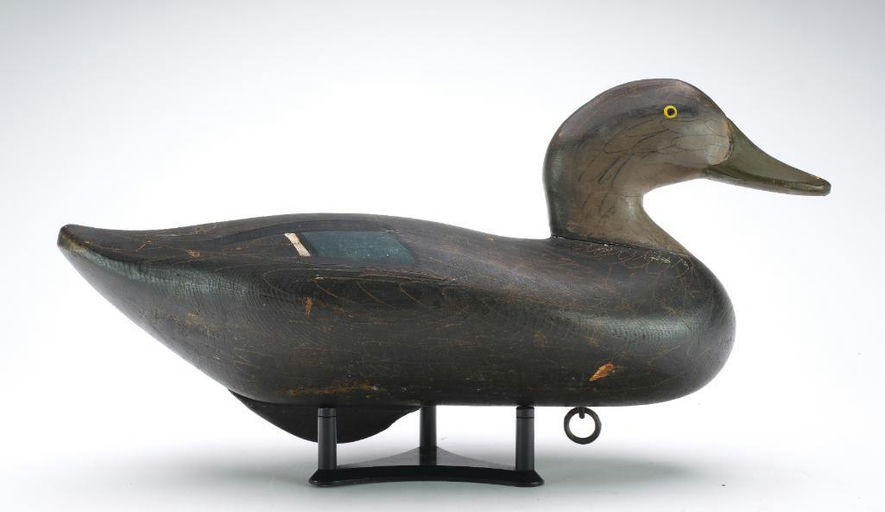 R. Madison Mitchell – Black Duck – 2024