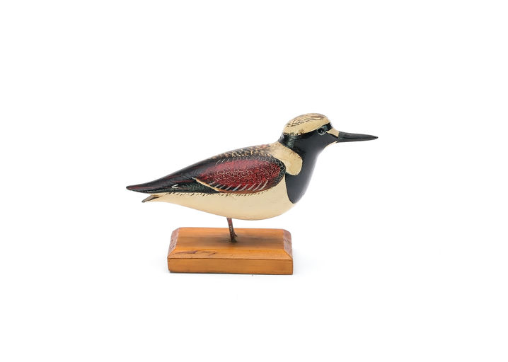 George Boyd – Ruddy Turnstone – 2025