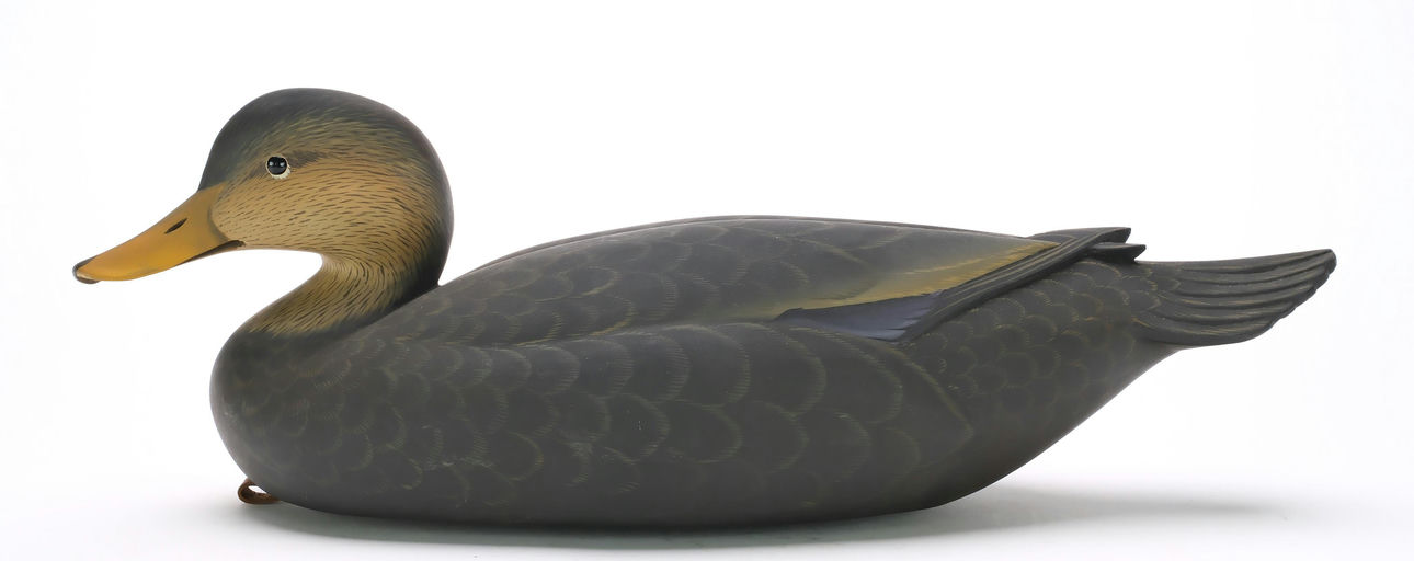 George Strunk – Black Duck – 2024