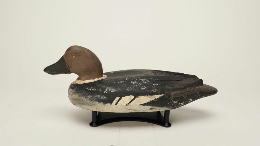 David W. Nichol – Goldeneye Hen – 2024