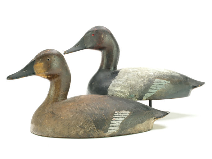 Ivar Fernlund – Canvasback – 2025