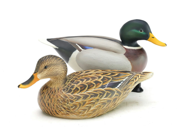 Ben A. Heinemann – Mallard – 2025