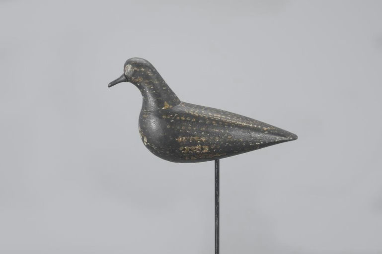 Coffin Family – Golden Plover – 2023