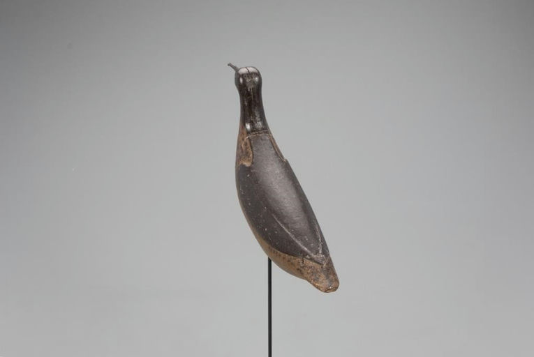 Verity Family – Antebellum Curlew – 2021
