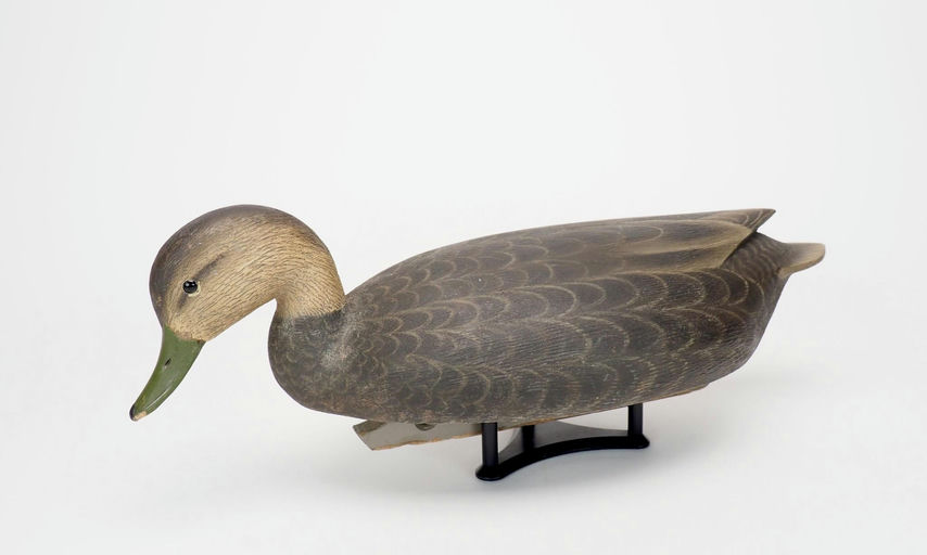 Marty Hanson – Black Duck Hen – 2025