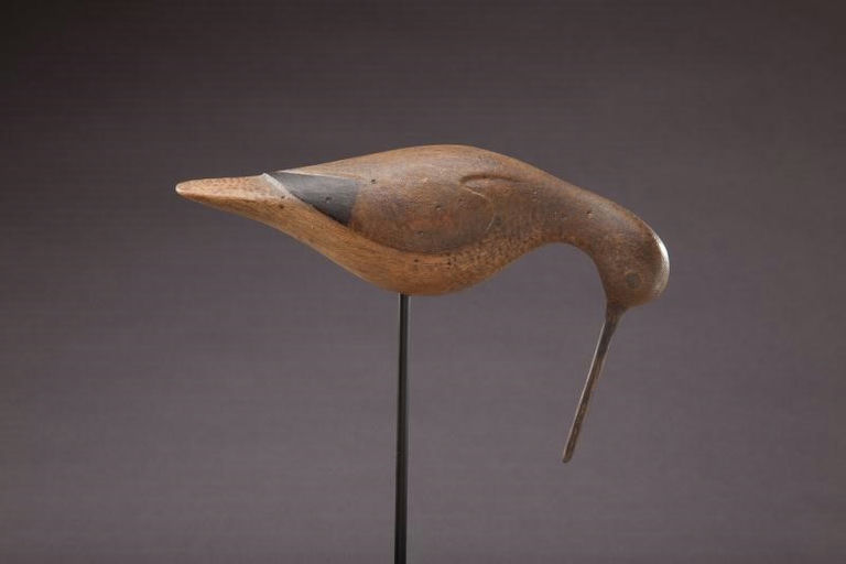 Mark McNair – Long-Billed Dowitcher – 2012