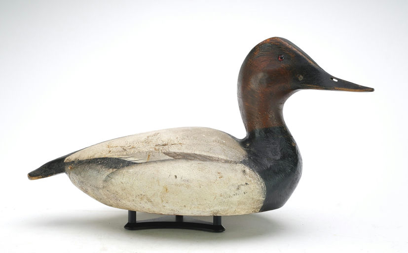 Ward Brothers – Canvasback – 2025
