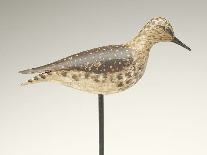 Elmer Crowell – Sanderling – 2023