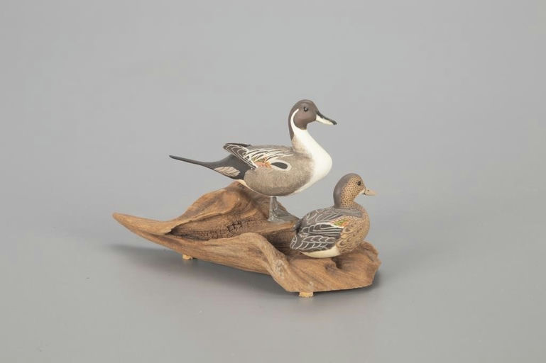 General Chester DeGavre – Miniature Pintail Pair – 2022