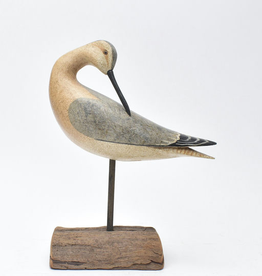 Harry V. Shourds – Yellowlegs – 2025