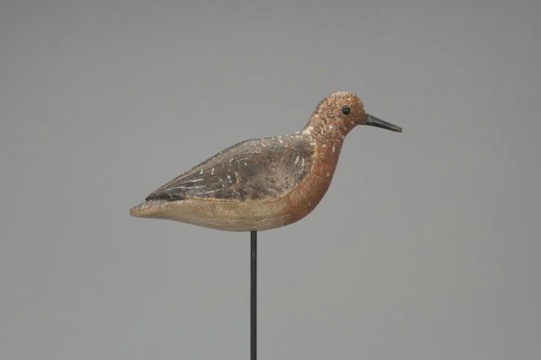 John Dilley – Red Knot – 2018