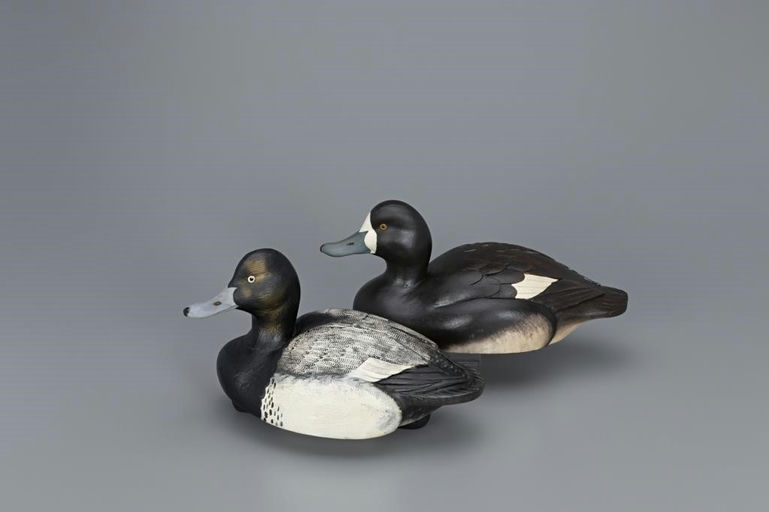 Bob Kerr – Bluebill Pair – 2019
