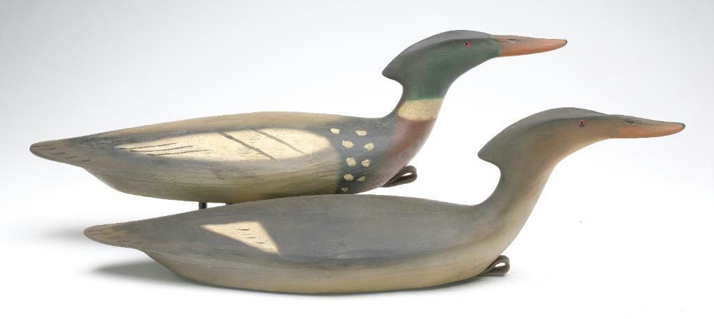 Pete Peterson – Pair of Merganser – 2023