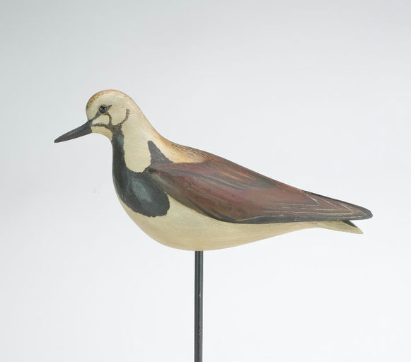 Bill Gibian – Ruddy Turnstone – 2023