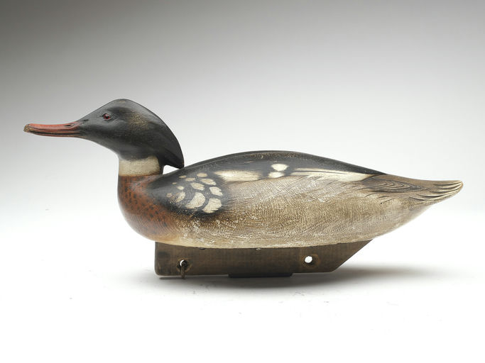 Jim Schmiedlin – Red-breasted Merganser Drake – 2023