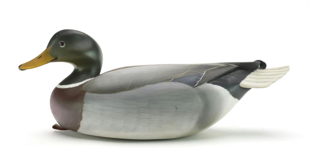 George Strunk – Mallard – 2024