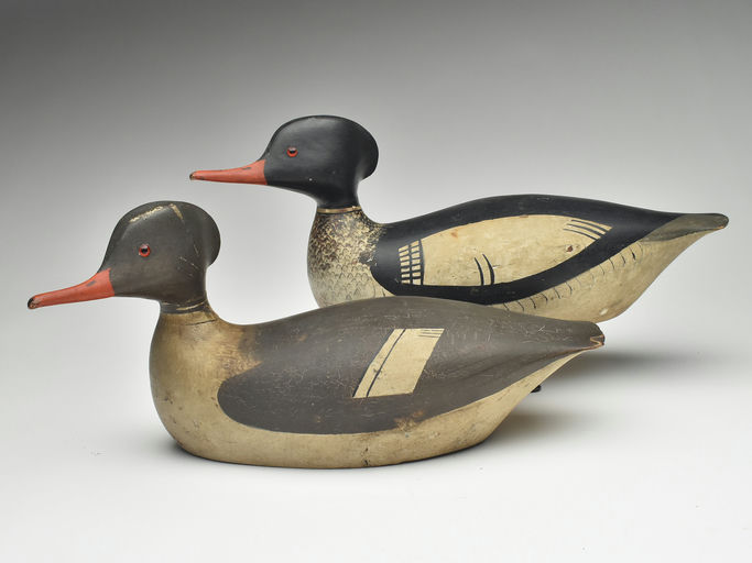 George Boyd – Merganser – 2023