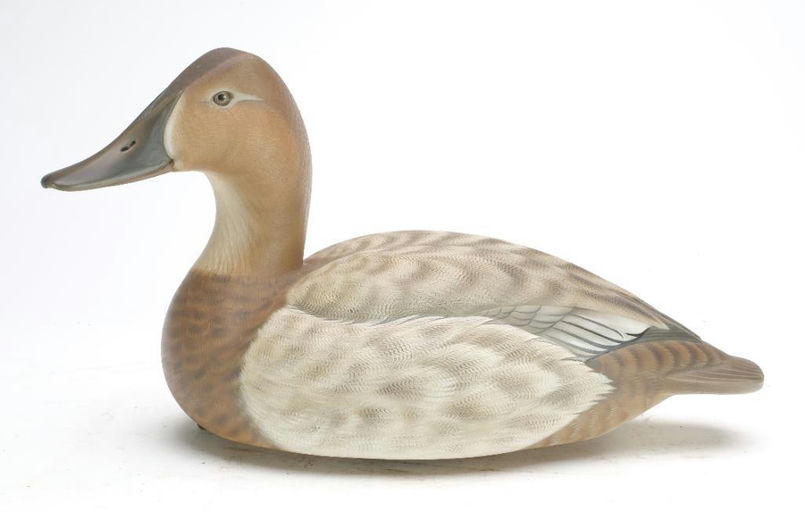 Tom Matus – Canvasback Hen – 2023