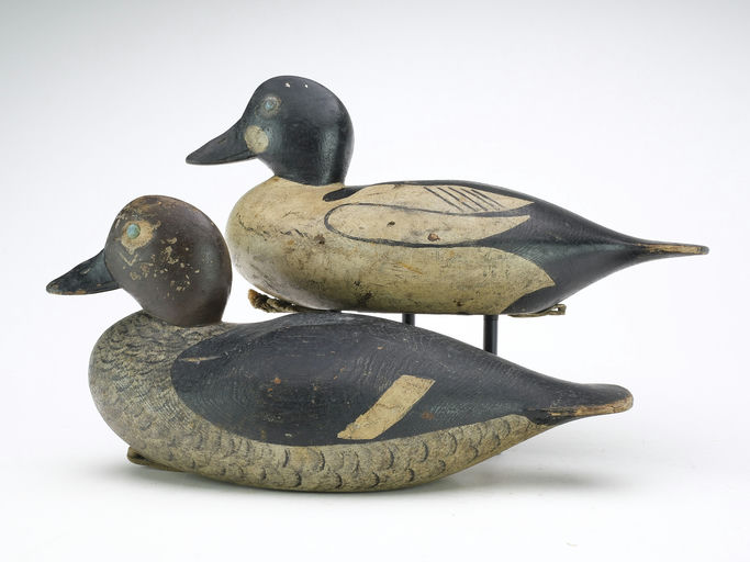 Joseph Lincoln – Pair of Goldeneye – 2025