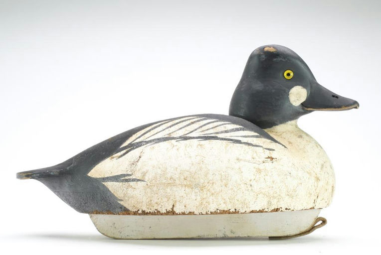 Keith Mueller – Cork Goldeneye – 2024