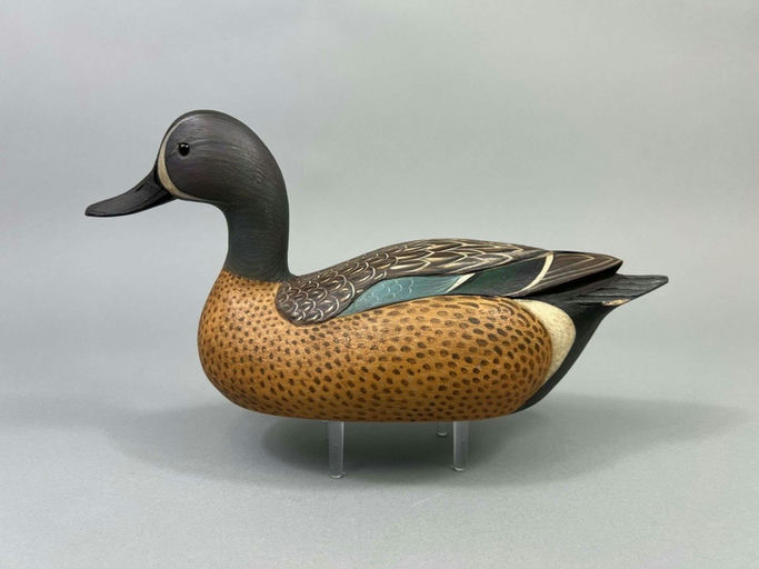 Matt Downs – Blue-winged Teal Drake Duck – 2026